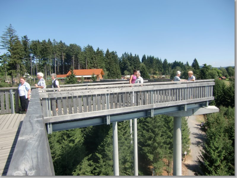 waldwipfelweg_maibrunn.jpg
