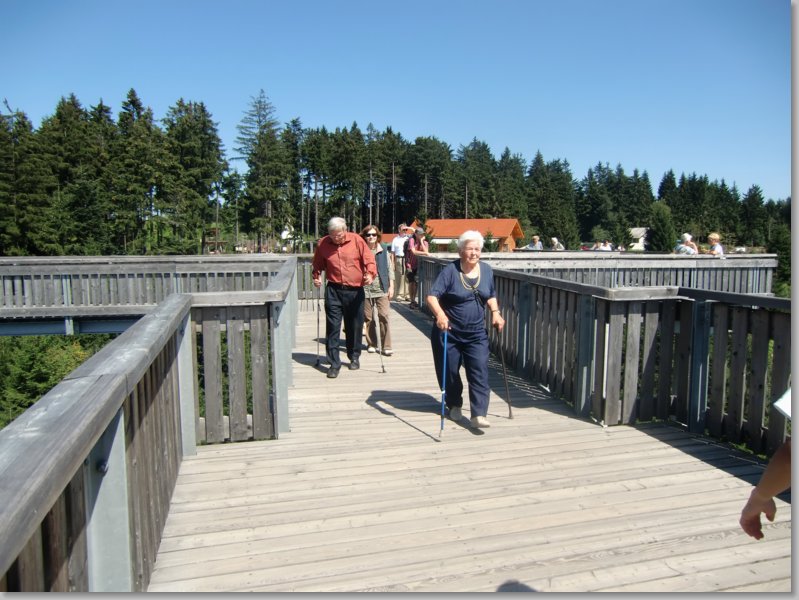 waldwipfelweg_maibrunn__1_.jpg